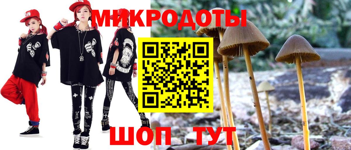 Псилоцибиновые грибы Cubensis Когалым