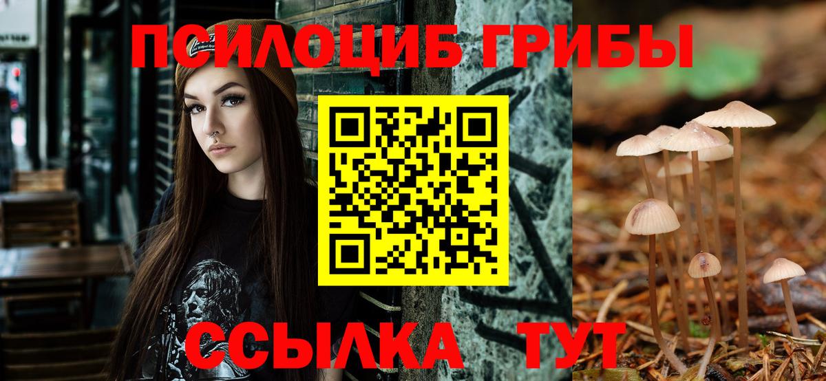 Когалым  Псилоцибиновые грибы Magic Shrooms  Вход с VPN 